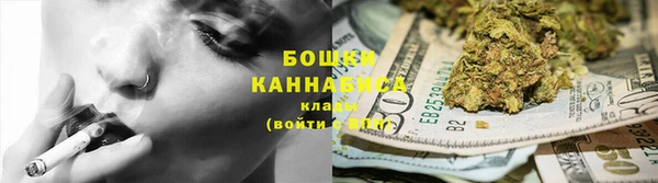 прущие грибы Алзамай