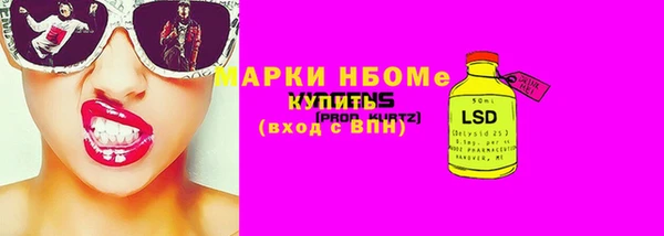прущие грибы Алзамай