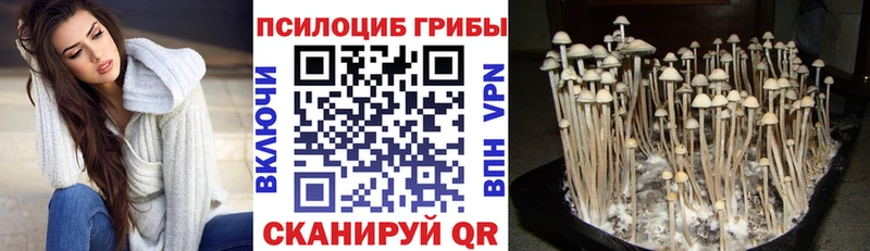 Галлюциногенные грибы мицелий  Сосновка 